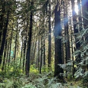 Meet your Posher, Te